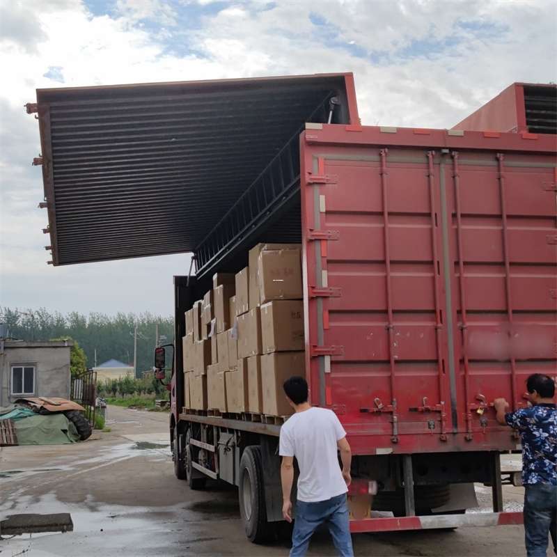 滨湖区扎囊县：物流专线的高效货运之旅
